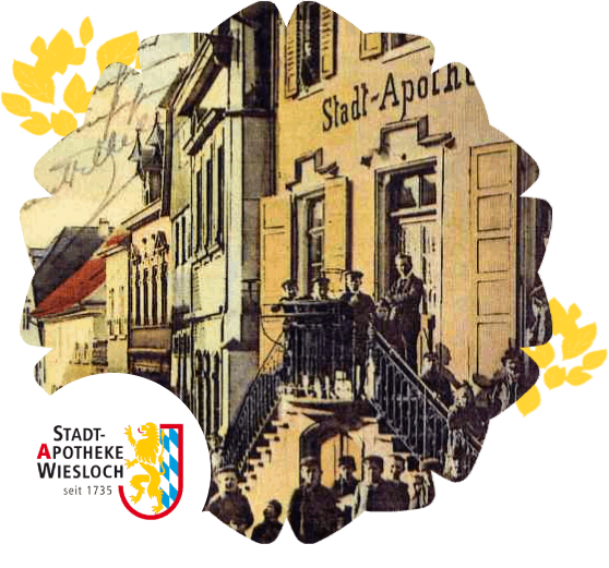 Antike Illustration der Apotheke mit Stadtwappen